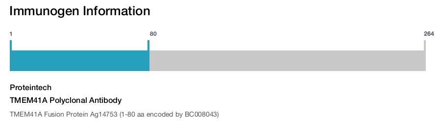 TMEM41A Polyclonal Antibody
