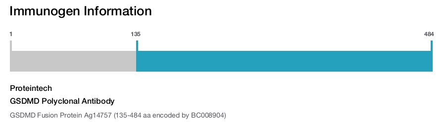 GSDMD Polyclonal Antibody