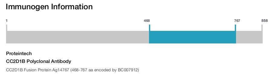 CC2D1B Polyclonal Antibody