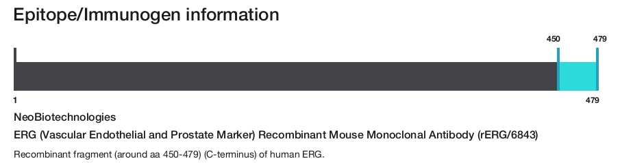 ERG (Vascular Endothelial and Prostate Marker) Recombinant Mouse Monoclonal Antibody (rERG/6843)