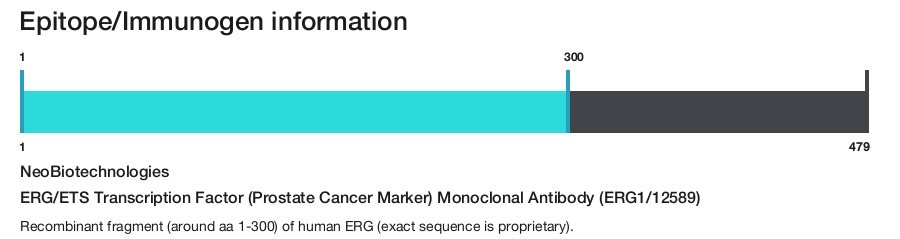 ERG/ETS Transcription Factor (Prostate Cancer Marker) Monoclonal Antibody (ERG1/12589)