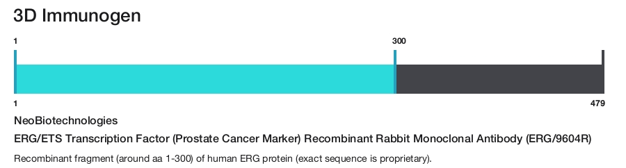 ERG/ETS Transcription Factor (Prostate Cancer Marker) Recombinant Rabbit Monoclonal Antibody (ERG/9604R)