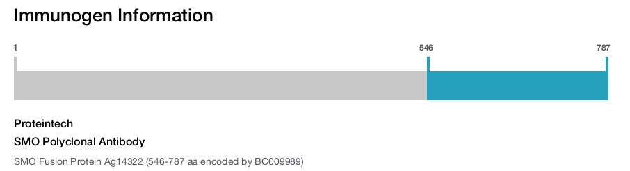 SMO Polyclonal Antibody