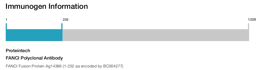 FANCI Polyclonal Antibody