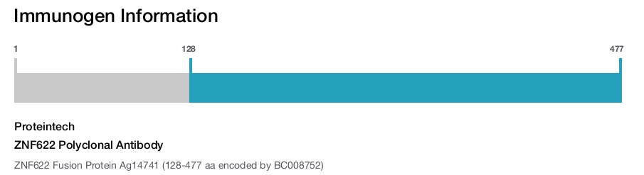 ZNF622 Polyclonal Antibody