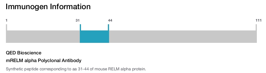 mRELM alpha Polyclonal Antibody