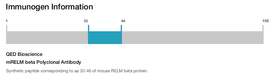 mRELM beta Polyclonal Antibody