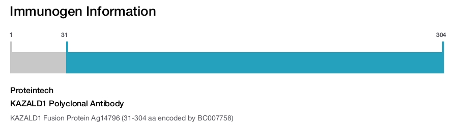 KAZALD1 Polyclonal Antibody