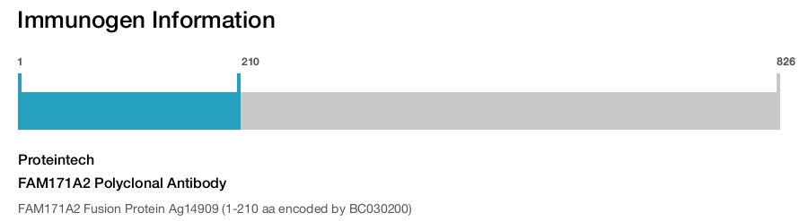 FAM171A2 Polyclonal Antibody