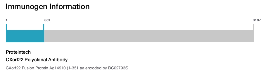 CXorf22 Polyclonal Antibody