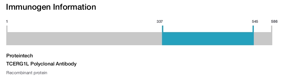 TCERG1L Polyclonal Antibody