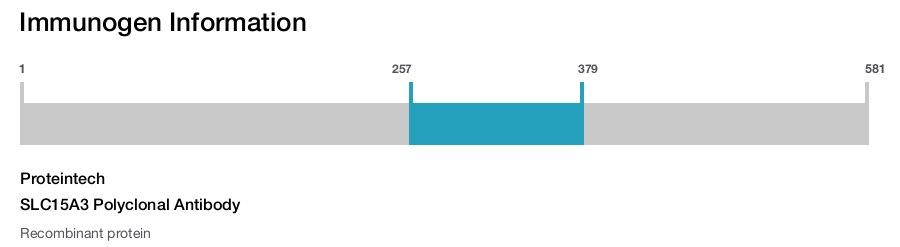 SLC15A3 Polyclonal Antibody