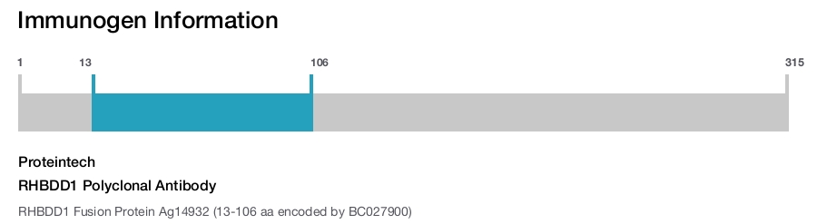 RHBDD1 Polyclonal Antibody
