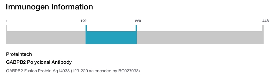 GABPB2 Polyclonal Antibody