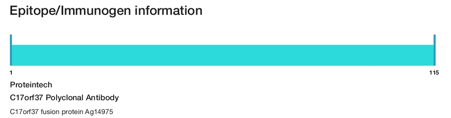 C17orf37 Polyclonal Antibody