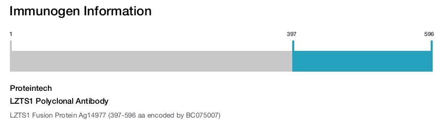 LZTS1 Polyclonal Antibody