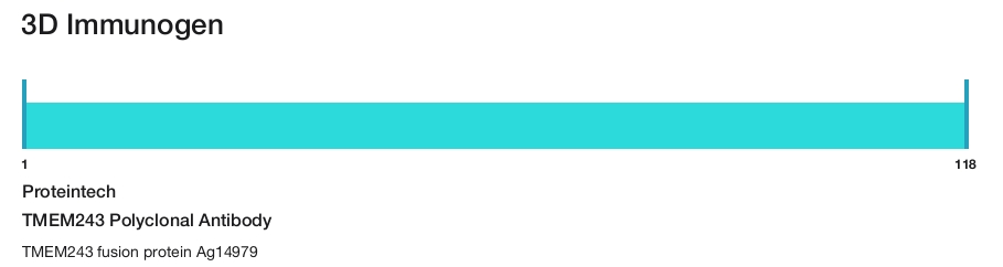 TMEM243 Polyclonal Antibody