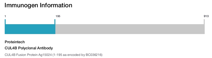 CUL4B Polyclonal Antibody