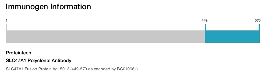 SLC47A1 Polyclonal Antibody