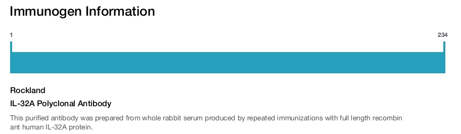 IL-32A Polyclonal Antibody