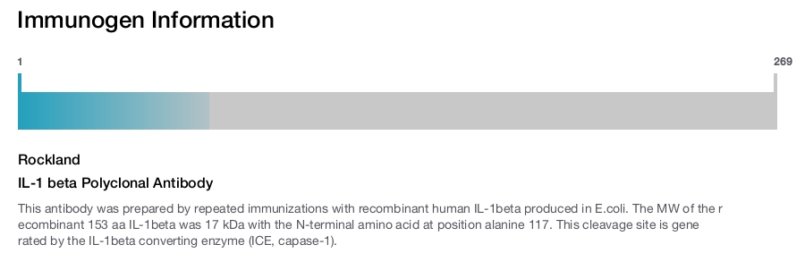 IL-1 beta Polyclonal Antibody