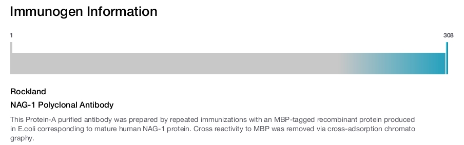 NAG-1 Polyclonal Antibody