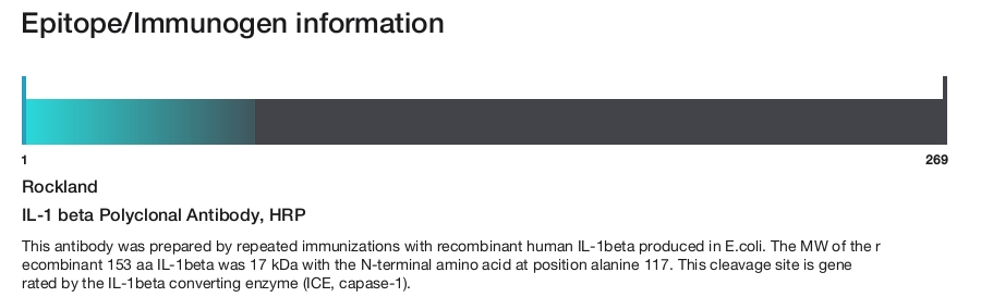 IL-1 beta Polyclonal Antibody, HRP