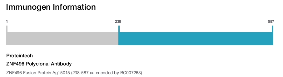 ZNF496 Polyclonal Antibody