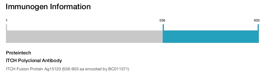 ITCH Polyclonal Antibody