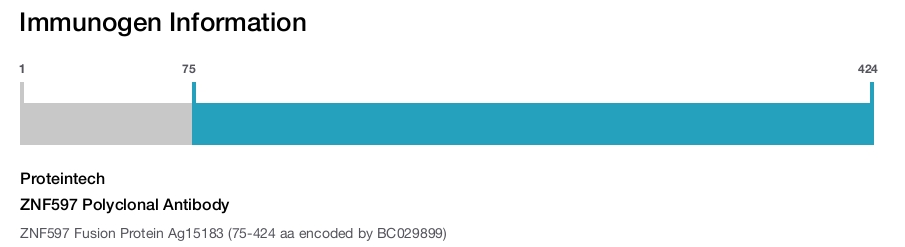 ZNF597 Polyclonal Antibody