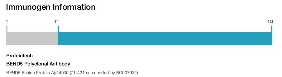 BEND5 Polyclonal Antibody