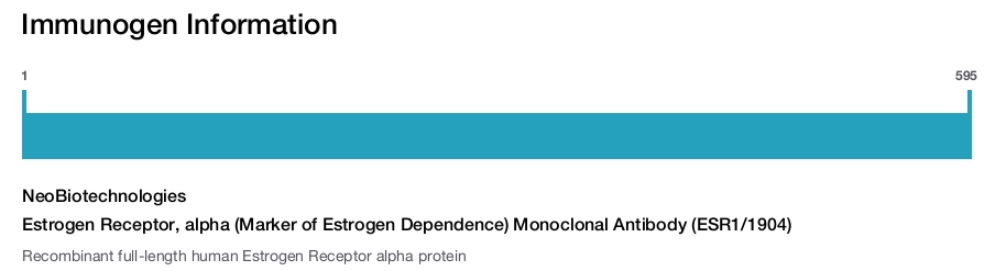 Estrogen Receptor, alpha (Marker of Estrogen Dependence) Monoclonal Antibody (ESR1/1904)