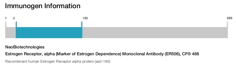 Estrogen Receptor, alpha (Marker of Estrogen Dependence) Monoclonal Antibody (ER506), CF® 488