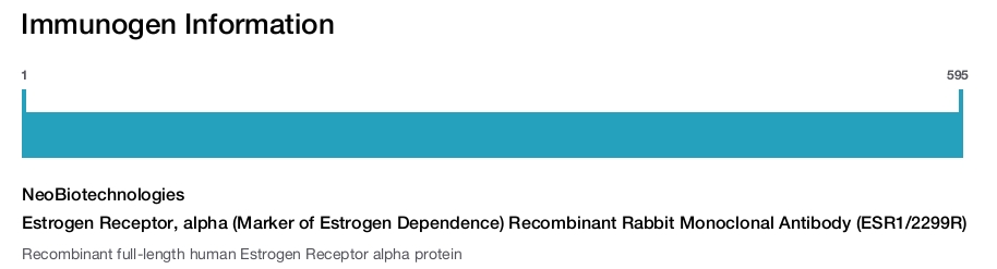 Estrogen Receptor, alpha (Marker of Estrogen Dependence) Recombinant Rabbit Monoclonal Antibody (ESR1/2299R)