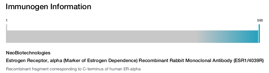 Estrogen Receptor, alpha (Marker of Estrogen Dependence) Recombinant Rabbit Monoclonal Antibody (ESR1/4039R)