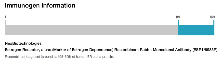 Estrogen Receptor, alpha (Marker of Estrogen Dependence) Recombinant Rabbit Monoclonal Antibody (ESR1/6983R)