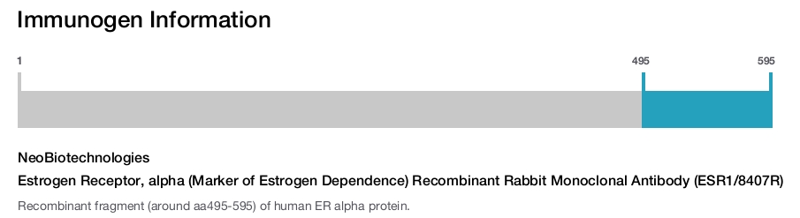 Estrogen Receptor, alpha (Marker of Estrogen Dependence) Recombinant Rabbit Monoclonal Antibody (ESR1/8407R)