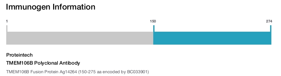 TMEM106B Polyclonal Antibody