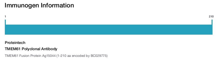 TMEM61 Polyclonal Antibody