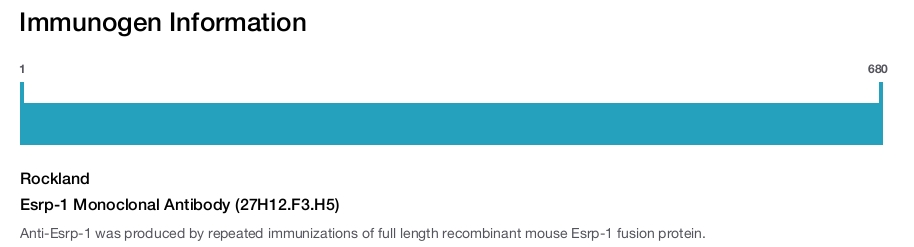 Esrp-1 Monoclonal Antibody (27H12.F3.H5)