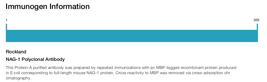 NAG-1 Polyclonal Antibody