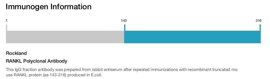 RANKL Polyclonal Antibody
