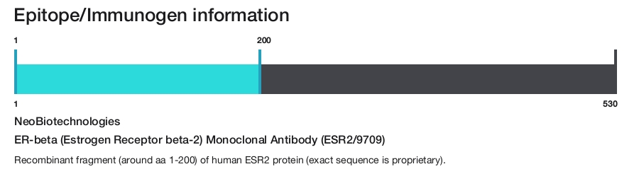 ER-beta (Estrogen Receptor beta-2) Monoclonal Antibody (ESR2/9709)