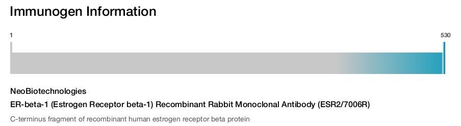 ER-beta-1 (Estrogen Receptor beta-1) Recombinant Rabbit Monoclonal Antibody (ESR2/7006R)