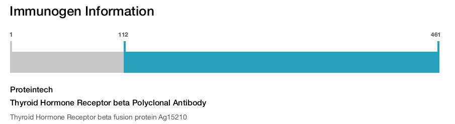 Thyroid Hormone Receptor beta Polyclonal Antibody