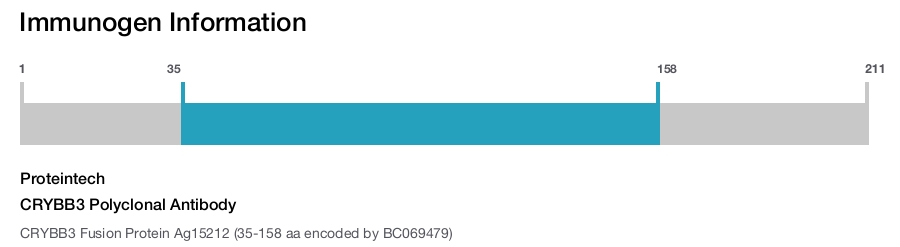 CRYBB3 Polyclonal Antibody