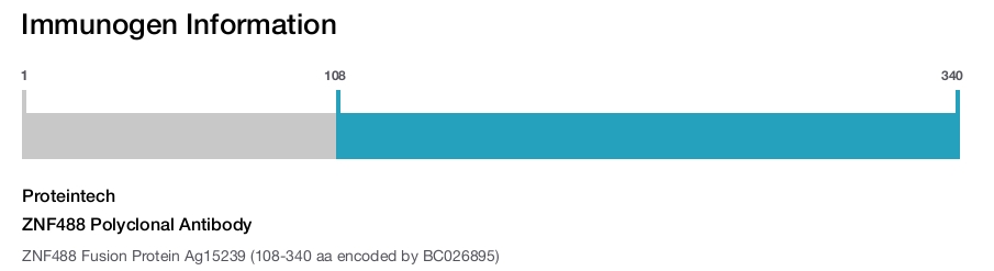 ZNF488 Polyclonal Antibody