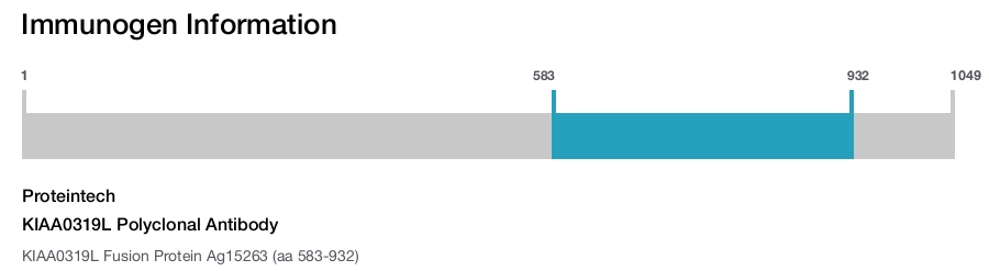 KIAA0319L Polyclonal Antibody