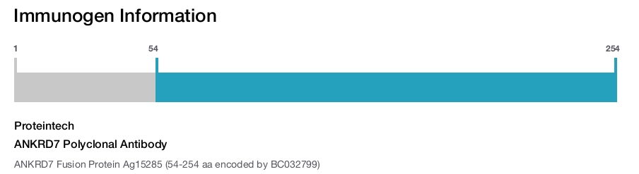 ANKRD7 Polyclonal Antibody
