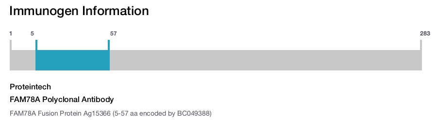 FAM78A Polyclonal Antibody